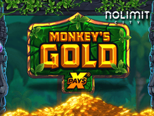Monkeys Gold Xpays icon