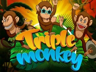 Triple Monkey icon